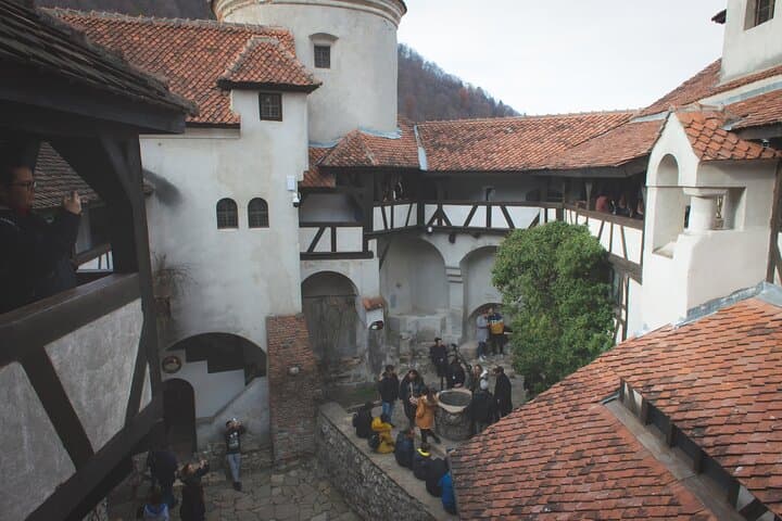 Bran Castle & Libearty Bear Sanctuary Day Tour from Bucharest photo 4