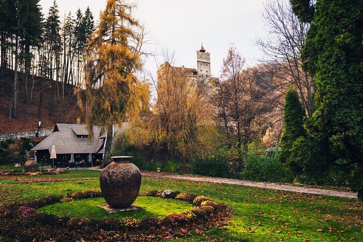 Bran Castle & Libearty Bear Sanctuary Day Tour from Bucharest photo 6