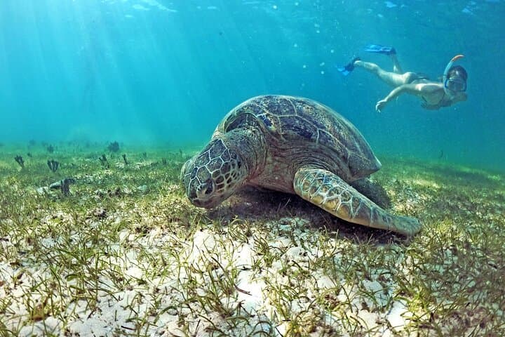 Exploring Nosy Sakatia: Snorkel Turtles, Natural Pools & Vanilla Trails