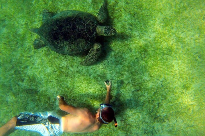 Exploring Nosy Sakatia: Snorkel Turtles, Natural Pools & Vanilla Trails photo 2