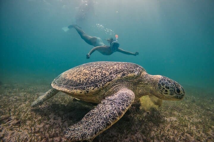 Exploring Nosy Sakatia: Snorkel Turtles, Natural Pools & Vanilla Trails photo 3