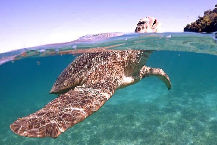 Exploring Nosy Sakatia: Snorkel Turtles, Natural Pools & Vanilla Trails photo 5