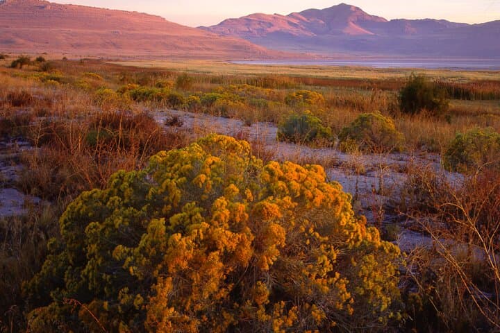 Exploring Great Salt Lake and Antelope Island: A Unique Day Tour Experience photo 5