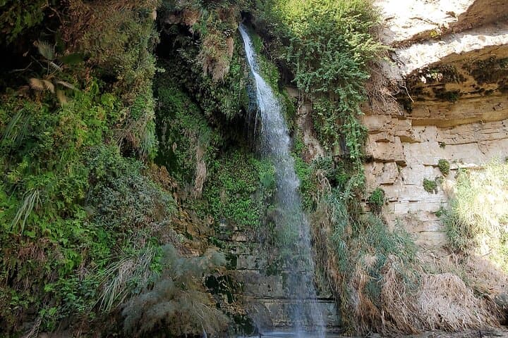 Masada and Dead Sea Private Day Tour: Ein Gedi Oasis, Float & Ahava Factory photo 5