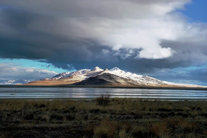 Exploring Great Salt Lake and Antelope Island: A Unique Day Tour Experience photo 3