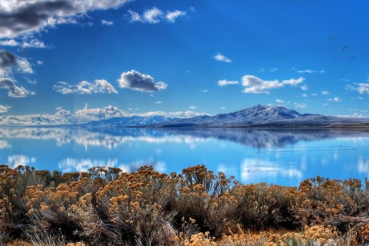 Exploring Great Salt Lake and Antelope Island: A Unique Day Tour Experience photo 2