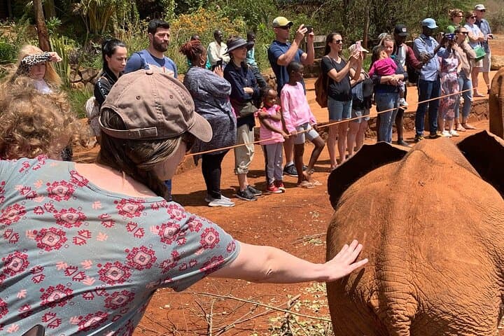 Explore Nairobi National Park, Elephant Orphanage & Giraffe Centre in a Day Tour photo 2
