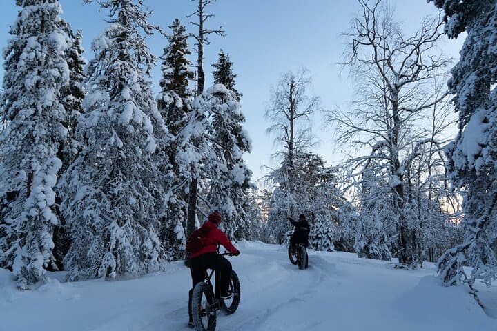 Rovaniemi Electric Fatbike Winter Tour — Arctic E‑Bike Experience photo 4