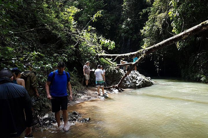 Emberá Village & Waterfall Eco Tour on the Chagres River — Indigenous Culture, Pirogue Ride & Rainforest Walk photo 3