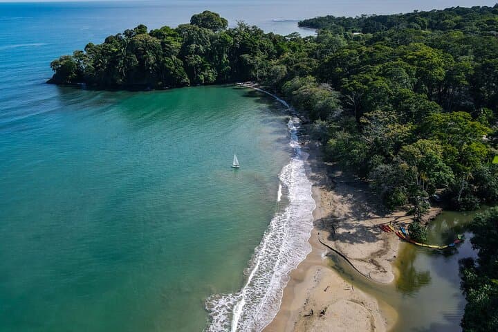 Punta Uva Sloth & Kayak Tour — Ethical Wildlife Encounters in Costa Rica photo 2