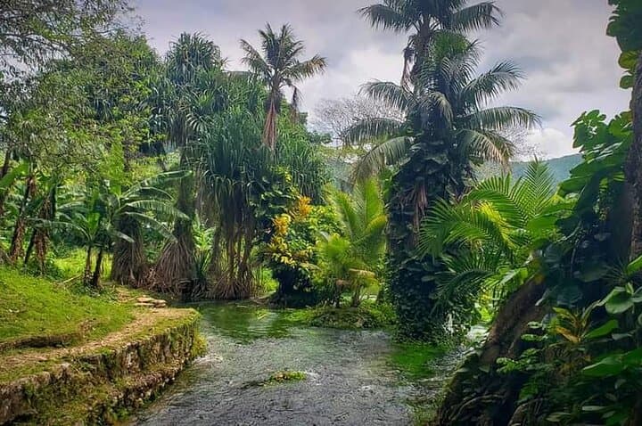 Rastafari Cultural ATV Experience from Negril — Village Drives, Mineral Pool & Ital Lunch photo 4
