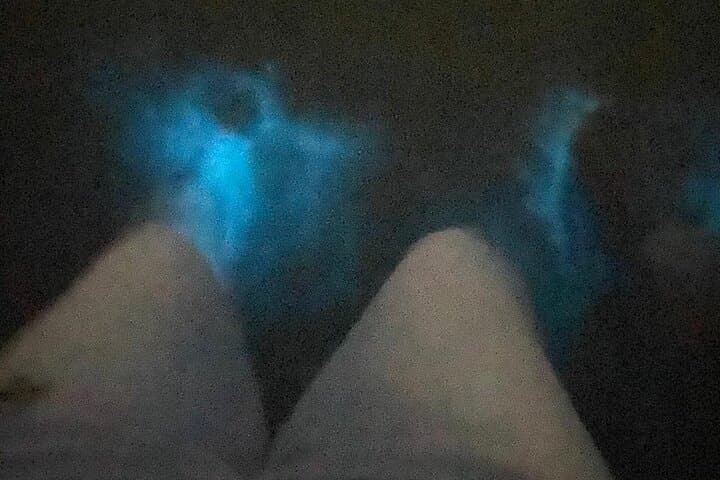 Bamboo Rafting & Luminous Lagoon Night Tour from Montego Bay photo 3