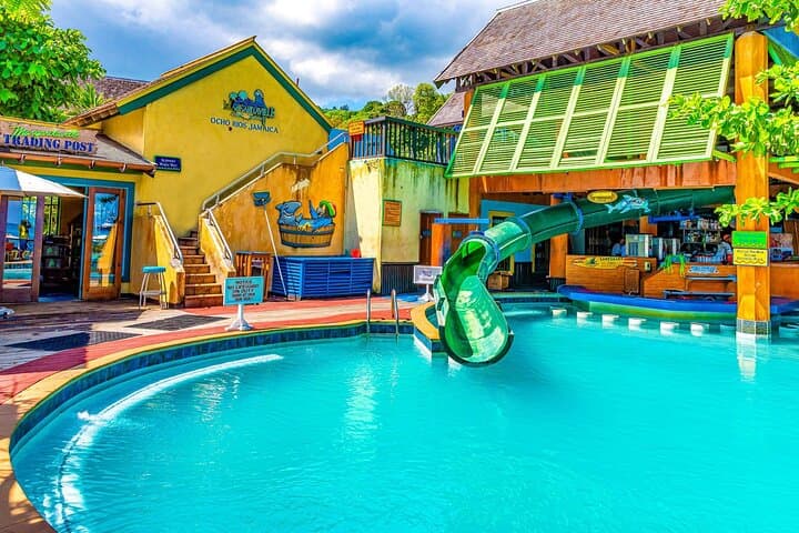 Dunns River Falls Climb and Margaritaville Beach Day — Private Ocho Rios Tour photo 3