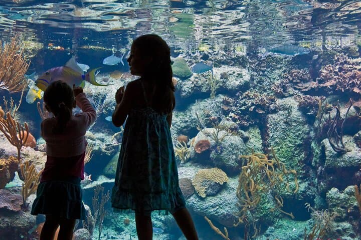 Xcaret Park Plus: Full-Day Access, Underground Rivers & Night Show photo 4
