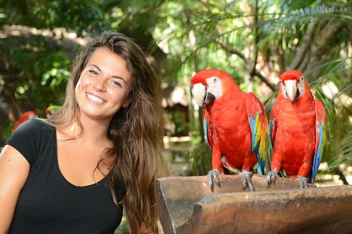 Xcaret Park Plus: Full-Day Access, Underground Rivers & Night Show photo 3