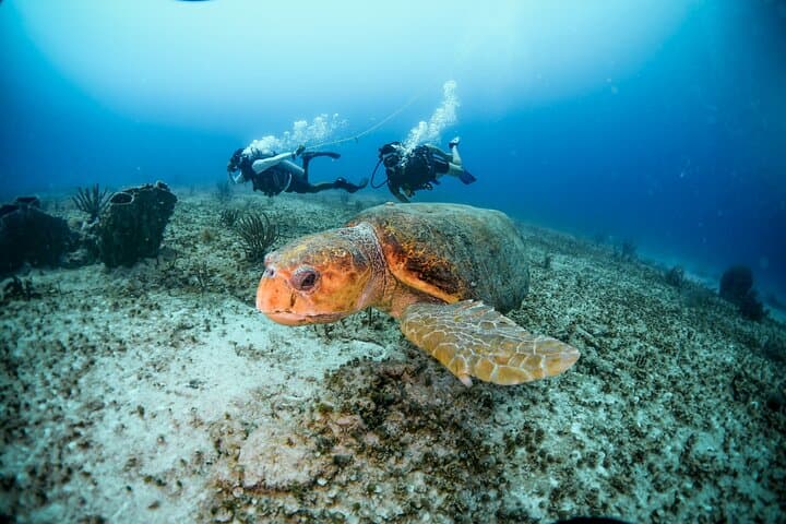 Discover Scuba Diving at Maroma Beach — Beginner Scuba Experience in Riviera Maya