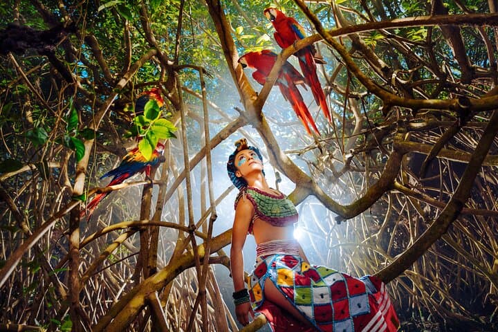 Xcaret Park Plus: Full-Day Access, Underground Rivers & Night Show