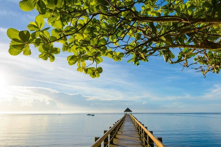 Full-Circle Viti Levu: Round-the-Island Day Trip from Suva photo 4
