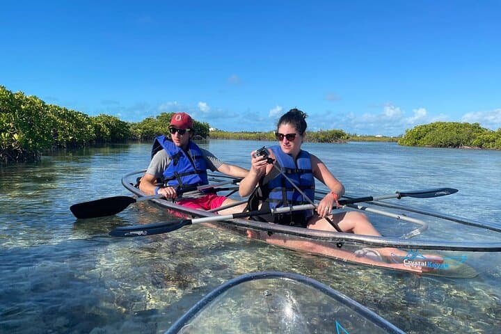 Iguana Island & Mangrove Cay Tour — Little Water Cay Rock Iguanas and Coastal Wildlife in Providenciales