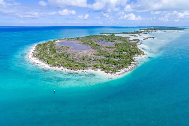 Iguana Island & Mangrove Cay Tour — Little Water Cay Rock Iguanas and Coastal Wildlife in Providenciales photo 4