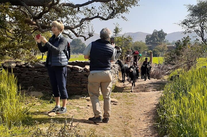 Arawali Hills Hiking Near Udaipur: Village Trails & Countryside Views photo 4