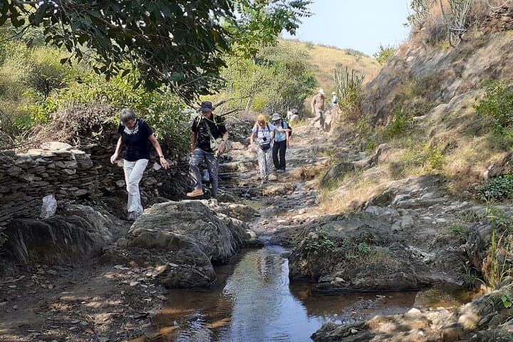 Arawali Hills Hiking Near Udaipur: Village Trails & Countryside Views photo 5
