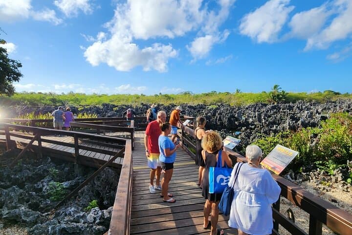 Get Anchored: Grand Cayman Stingray Sandbar, Reef & Bioluminescence Boat Tour photo 5