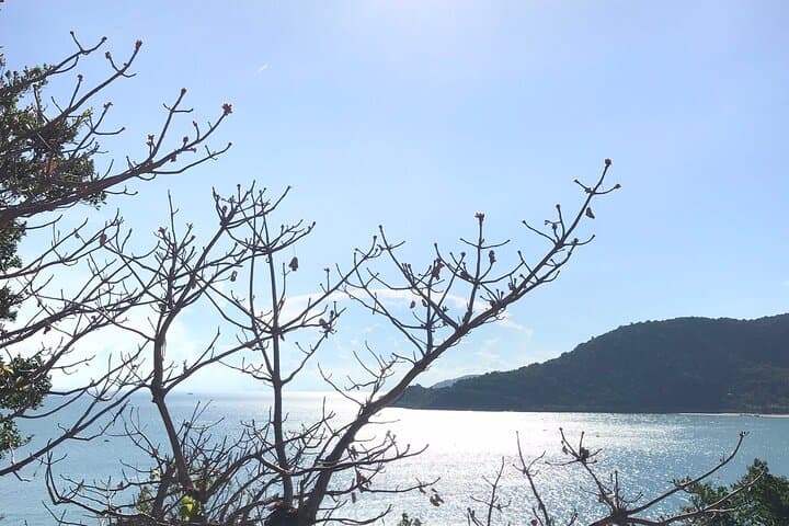 Full-Day Diving & Snorkeling at Cham Islands — Tiger Fish Divers (Hoi An) photo 6
