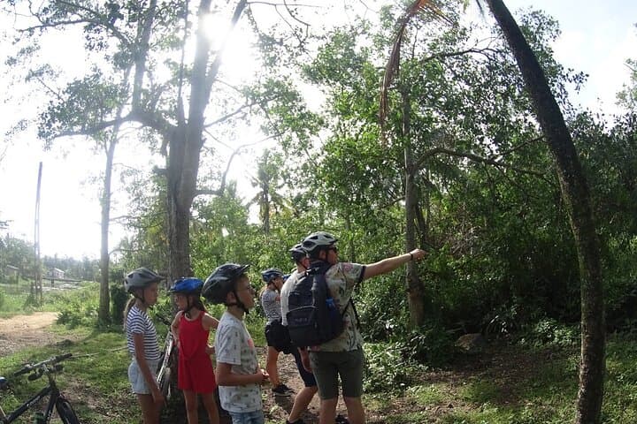 Galle Nature Cycling Trail: Paddy Fields, Cinnamon Forests & Coastal Villages photo 3