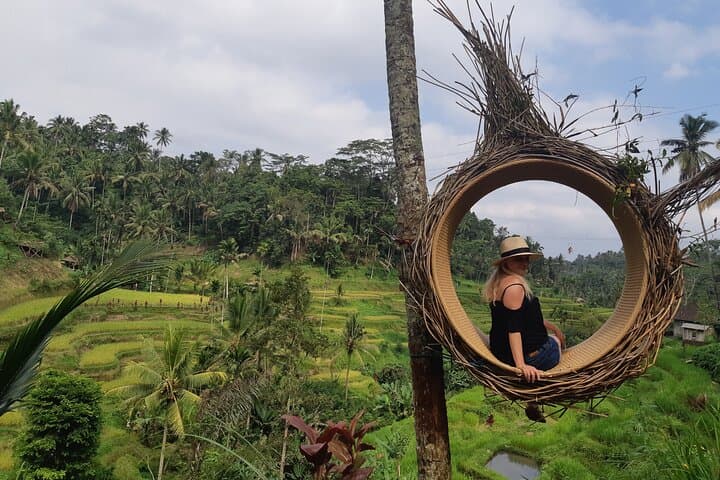 Best Ubud Full-Day Private Tour — Tegalalang Rice Terrace, Monkey Forest & Tegenungan Waterfall