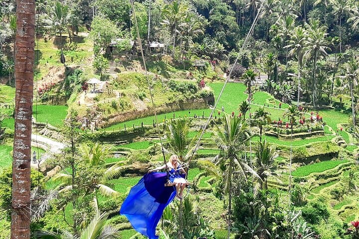 Ubud Private Tour: Full-Day Ubud Highlights — Monkey Forest, Rice Terraces & Waterfall photo 2