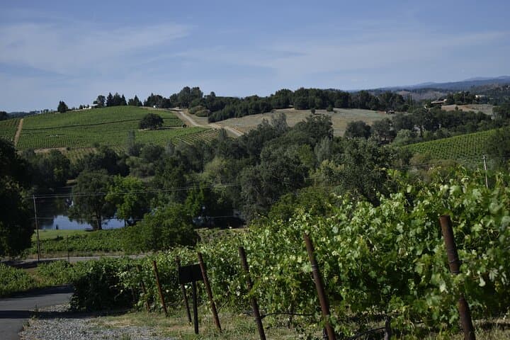 Apple Hill & Placerville Private Wine Tasting Tours — Custom Wine Country Day Trips photo 6