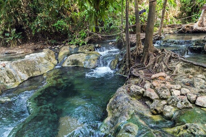 Emerald Pool & Hot Spring Tour — Krabi’s Jungle Waterways photo 3