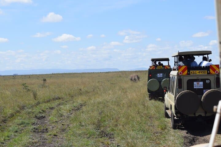 Explore Nairobi National Park: A Half-Day Safari Escape Near Nairobi CBD