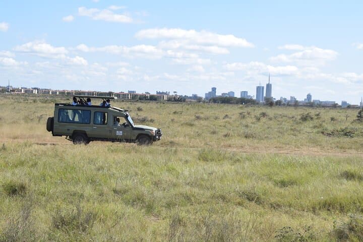 Explore Nairobi National Park: A Half-Day Safari Escape Near Nairobi CBD photo 4