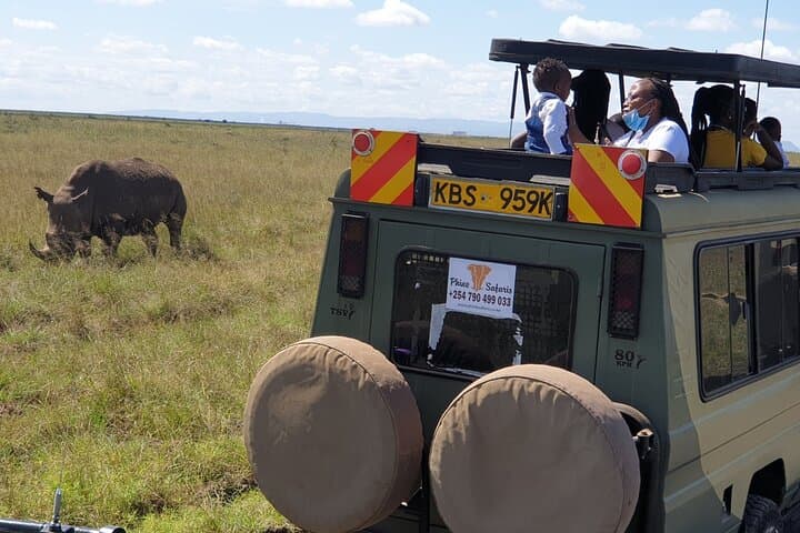 Explore Nairobi National Park: A Half-Day Safari Escape Near Nairobi CBD photo 3