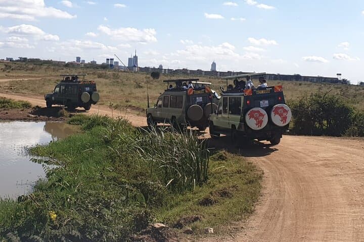 Explore Nairobi National Park: A Half-Day Safari Escape Near Nairobi CBD photo 6