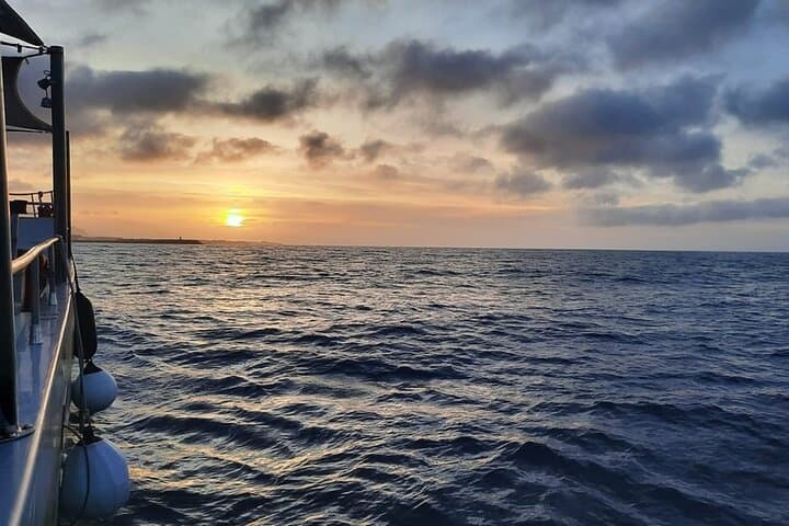 Sunset Catamaran Cruise to Cova Tallada from Dénia Port photo 3