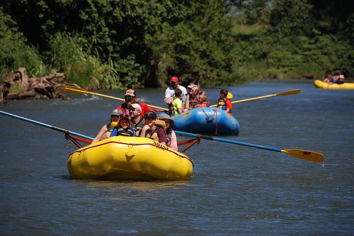 Guanacaste Wild Nature Combo: Hanging Bridges, Corobicí River Float & Llanos de Cortés