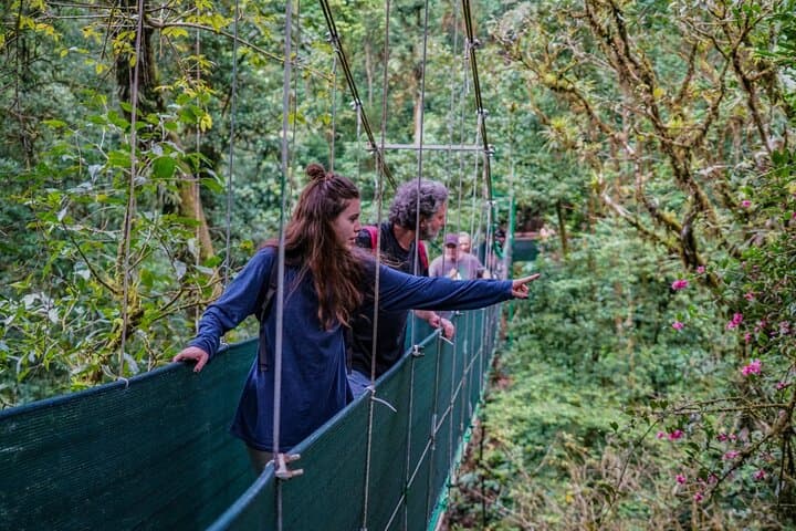 Guanacaste Wild Nature Combo: Hanging Bridges, Corobicí River Float & Llanos de Cortés photo 5