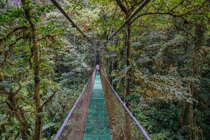 Guanacaste Wild Nature Combo: Hanging Bridges, Corobicí River Float & Llanos de Cortés photo 6