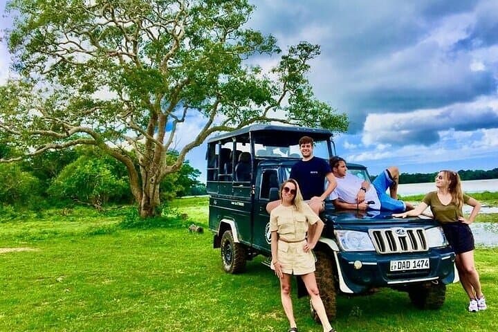 Kumana National Park Half-Day Jeep Safari from Arugam Bay — Birds, Elephants & Coastal Wetlands photo 5