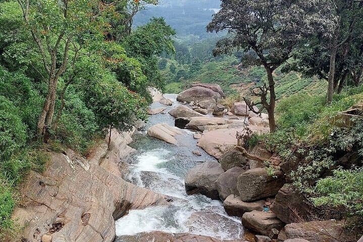 Explore Nuwara Eliya: Private Full-Day Tour of Tea Country, Waterfalls & Gregory Lake photo 3