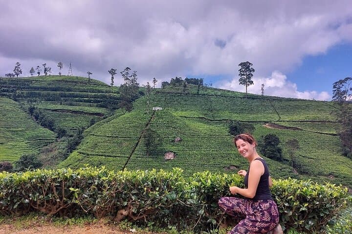 Explore Nuwara Eliya: Private Full-Day Tour of Tea Country, Waterfalls & Gregory Lake