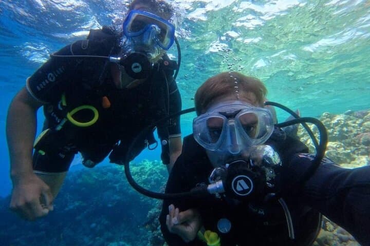 Intro Scuba Diving in Sharm El Sheikh: Red Sea Beginner Boat Dive with Lunch photo 2