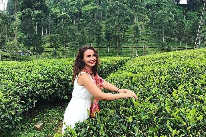 Explore Nuwara Eliya: Private Full-Day Tour of Tea Country, Waterfalls & Gregory Lake photo 2