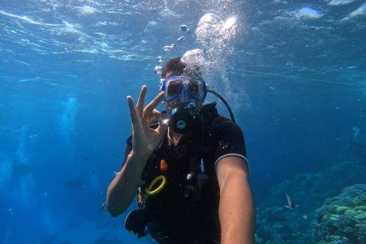 Intro Scuba Diving in Sharm El Sheikh: Red Sea Beginner Boat Dive with Lunch photo 5