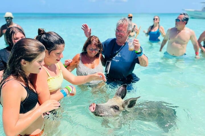 Exuma Day Away: Original Swimming Pigs Excursion from Nassau