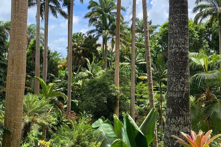 Private Barbados Island Tour — Customized Round-Island Experience photo 6
