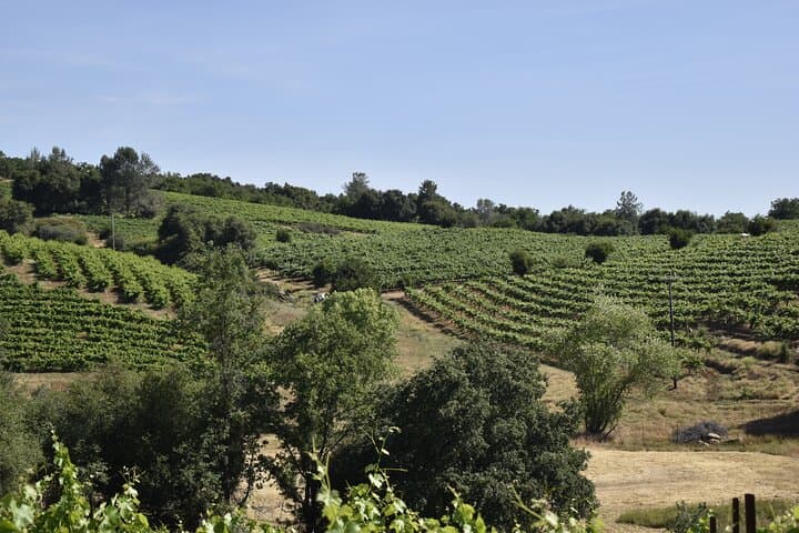 Apple Hill & Placerville Private Wine Tasting Tours — Custom Wine Country Day Trips photo 2